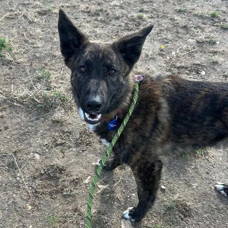 Cheese Whiz thumbnail 6