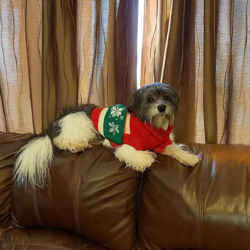 Gizmo And Gretta thumbnail 5