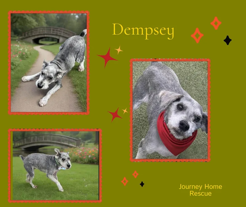 Dempsy