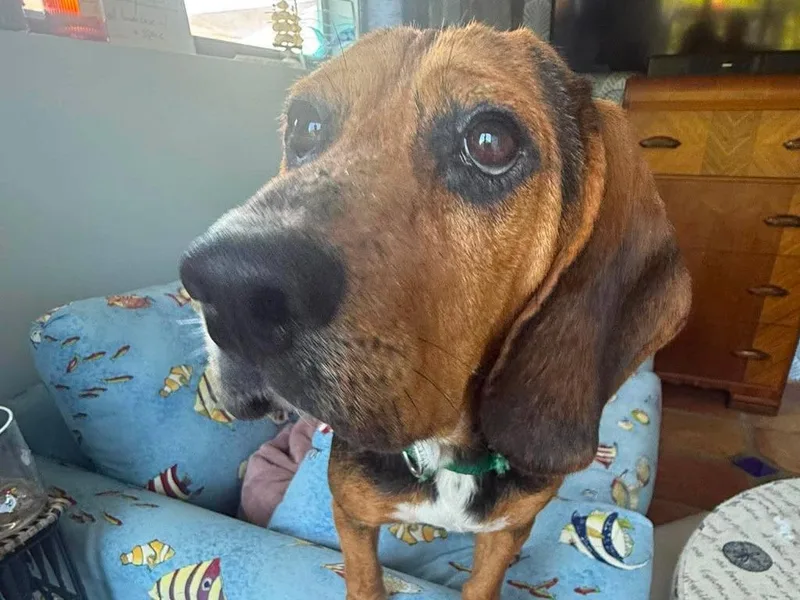 Waylon thumbnail 3