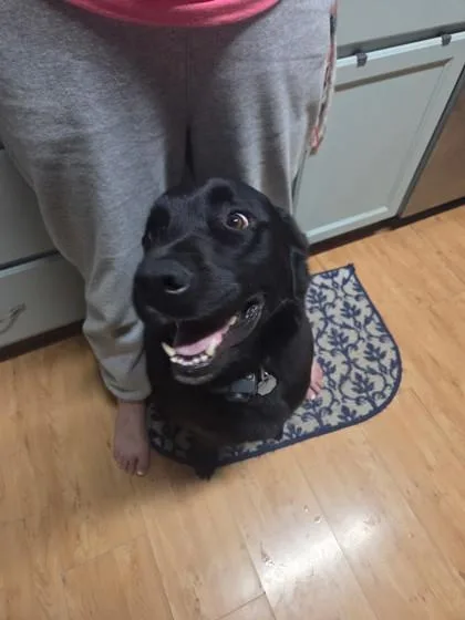 Duke