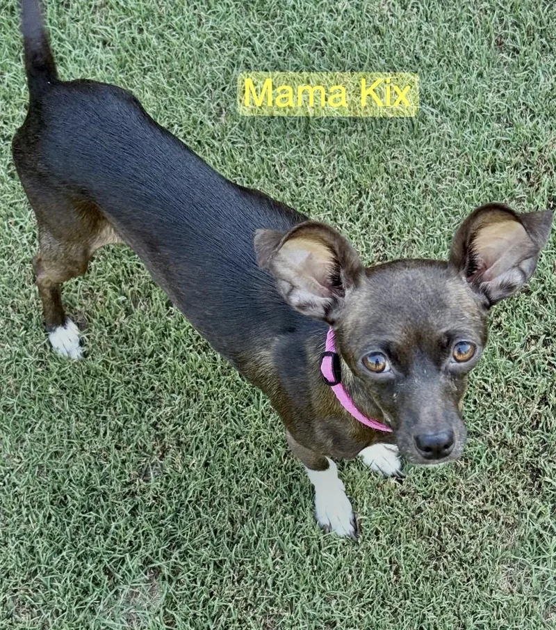 Mama Kix thumbnail 3