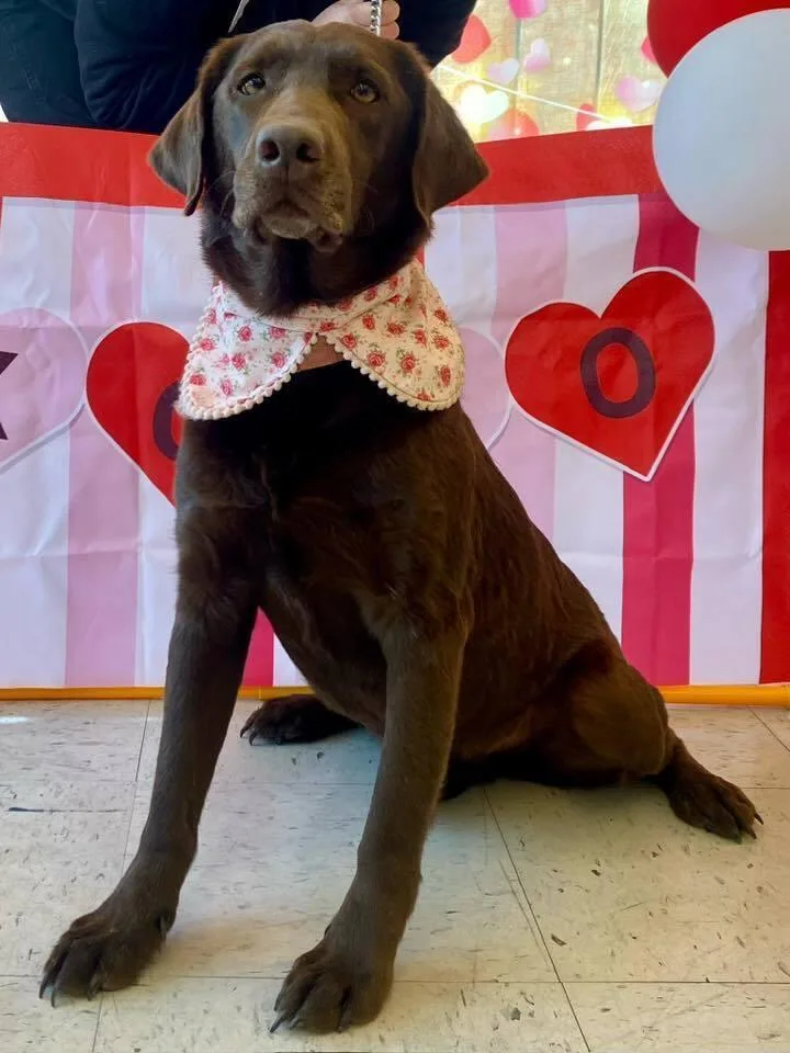 Truffles thumbnail 2