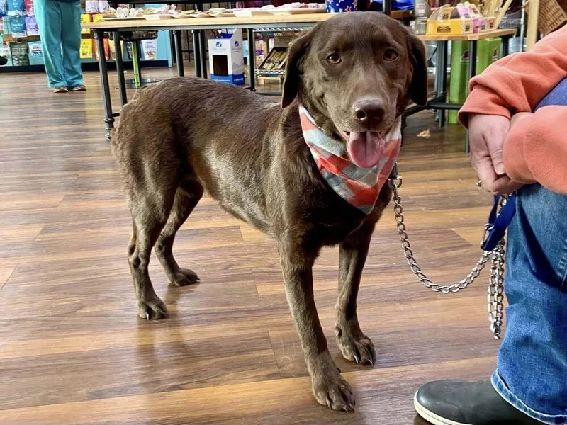 Truffles thumbnail 5