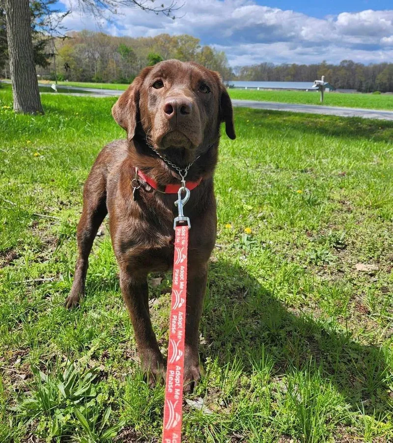 Truffles thumbnail 6