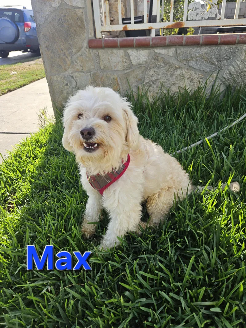Max thumbnail 5