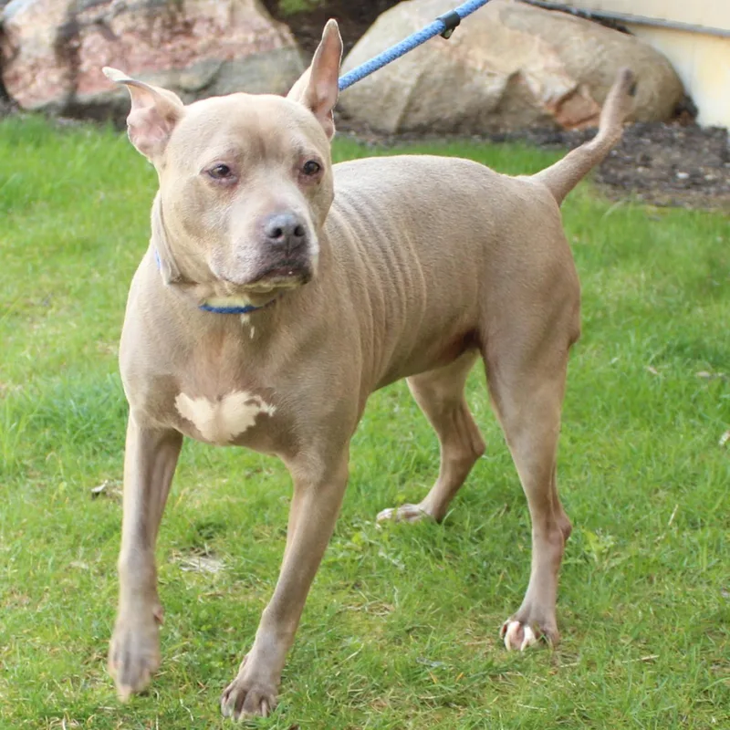 Lady Bug thumbnail 2