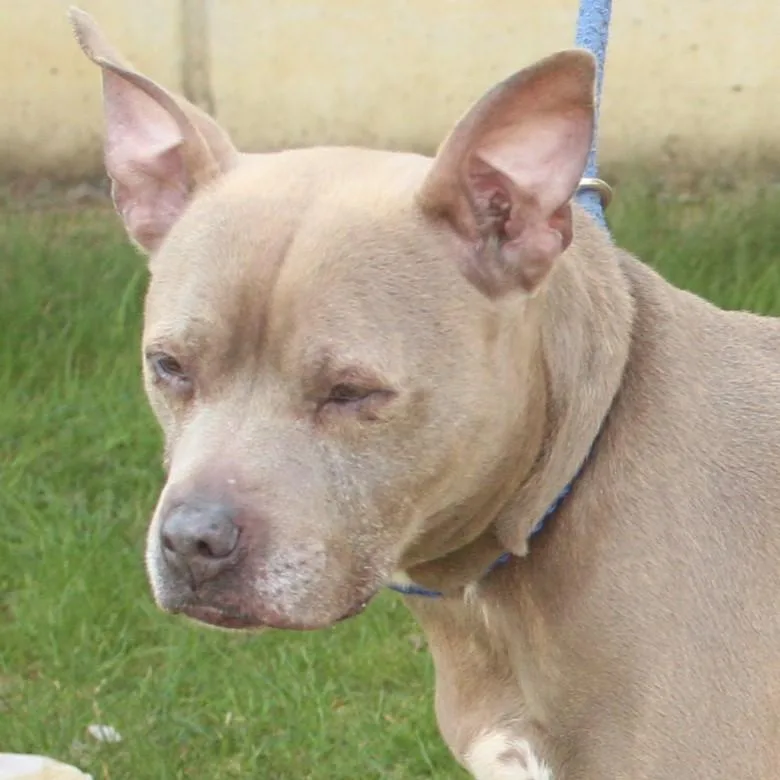 Lady Bug thumbnail 3