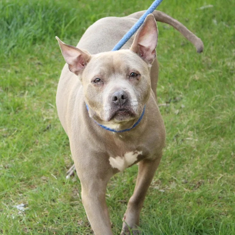 Lady Bug thumbnail 4