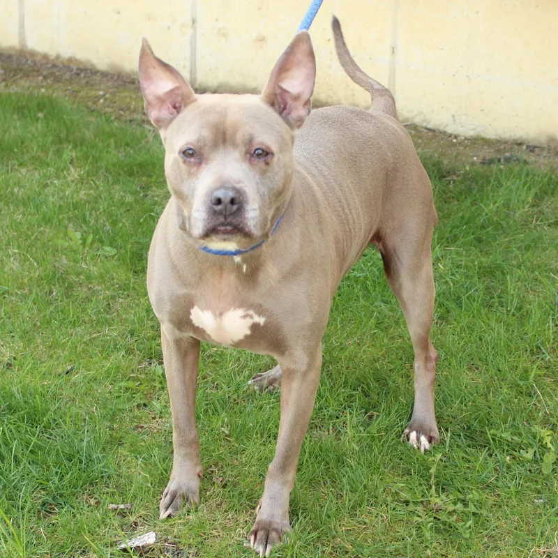 Lady Bug thumbnail 5