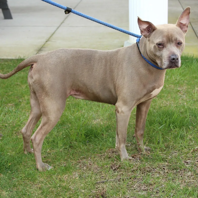 Lady Bug thumbnail 6