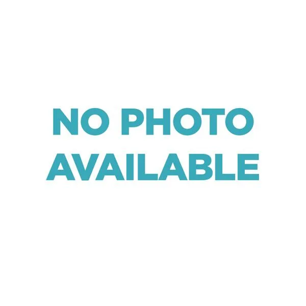 A young small-sized female Domestic Short Hair cat named Lizzy for adoption in Oceanside, CA