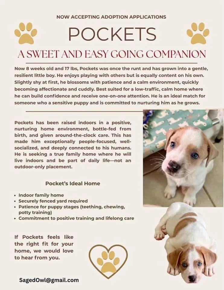 Pockets