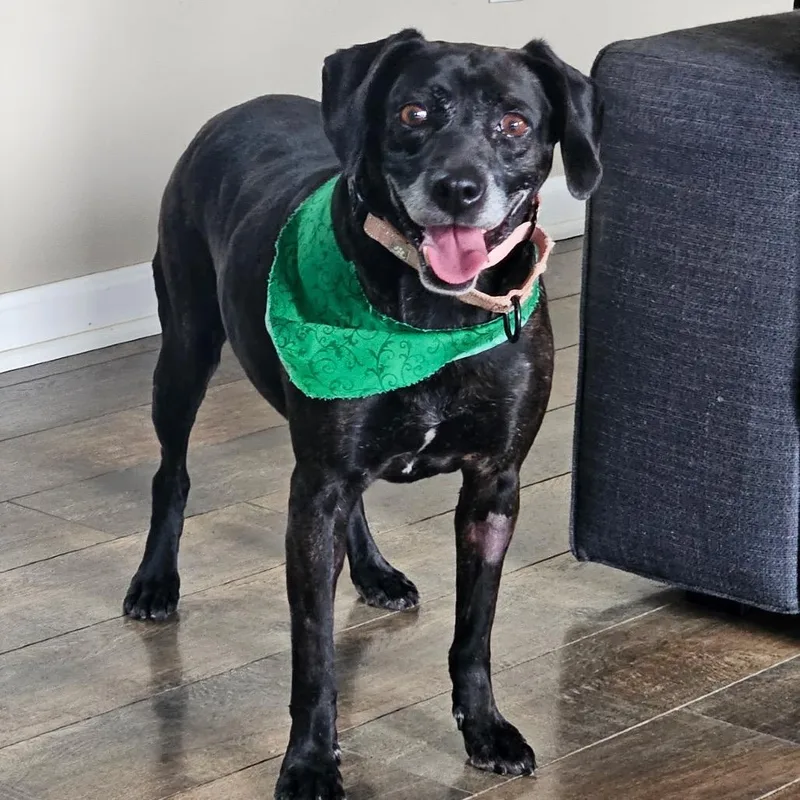 Sally Girl thumbnail 2