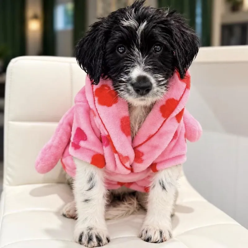 Lola thumbnail 2