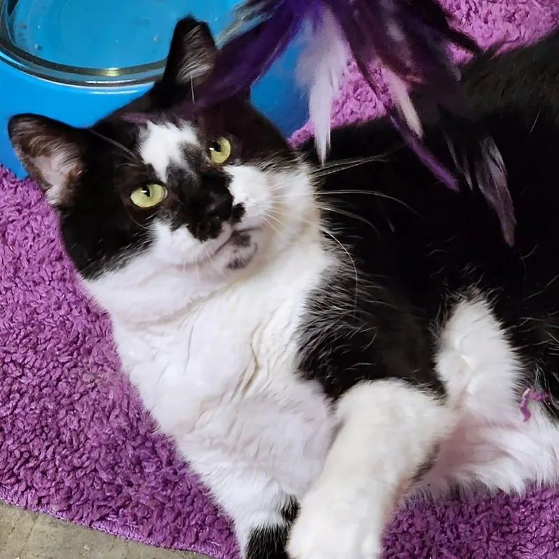 Montgomery Burns thumbnail 3