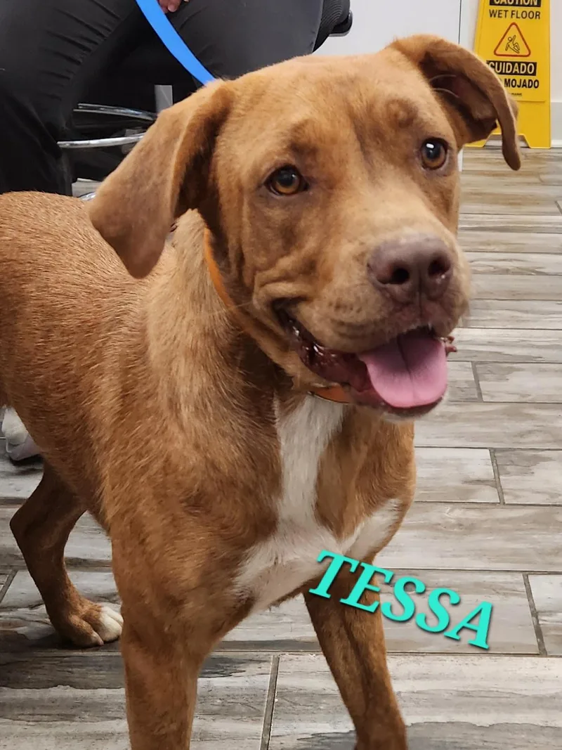 Tessa thumbnail 3