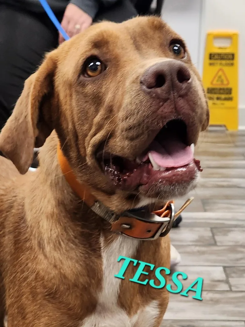 Tessa thumbnail 4