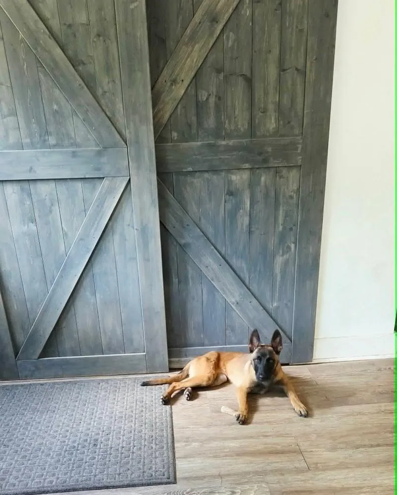 Nacho  Located in thumbnail 4