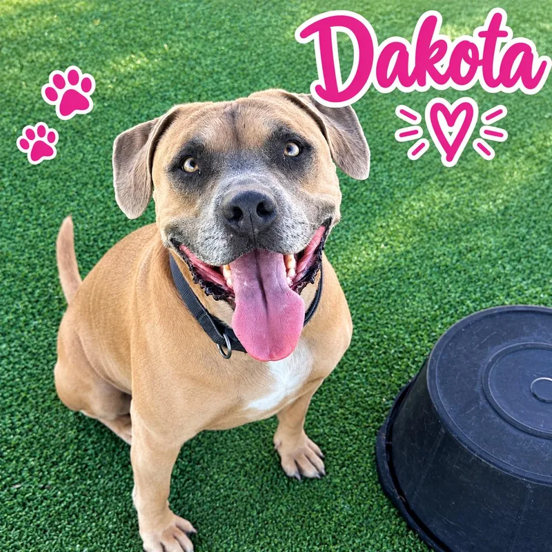 Dakota thumbnail 2