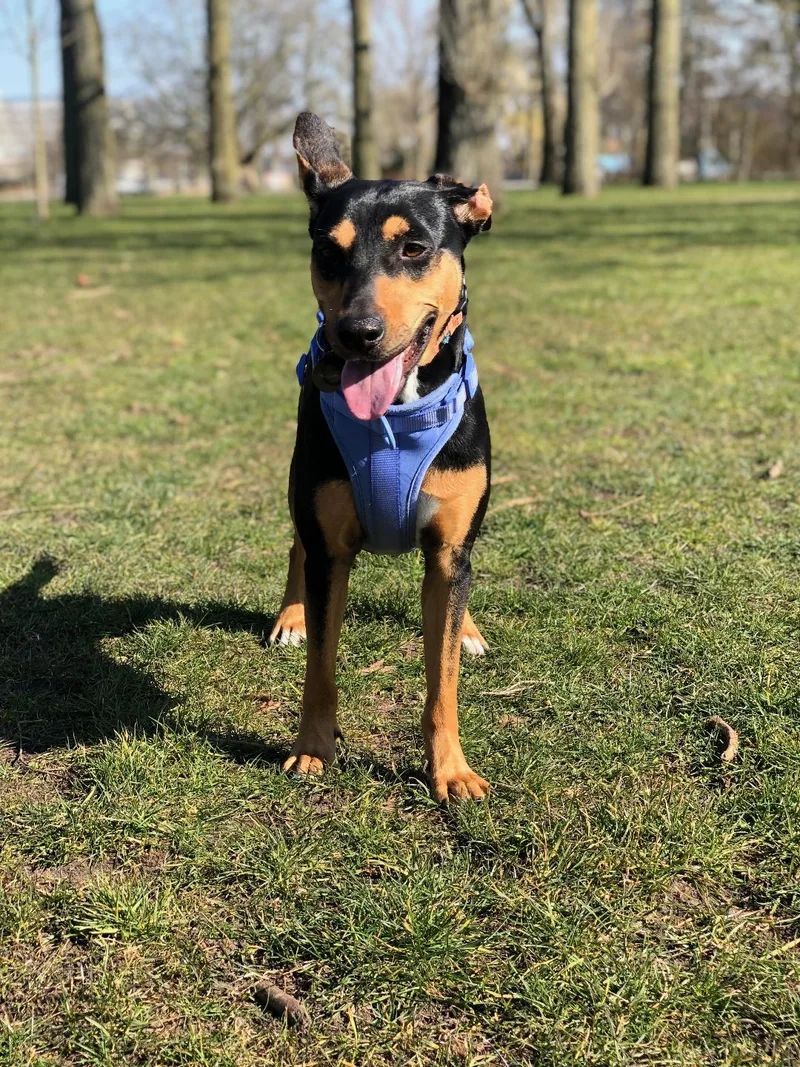 Winnie