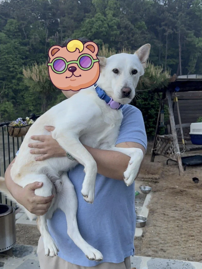 Teddy thumbnail 2