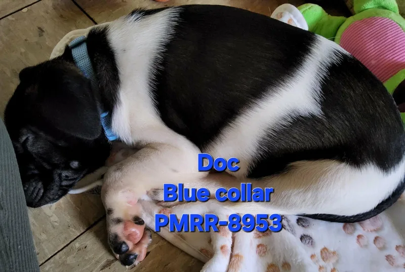 Doc thumbnail 3