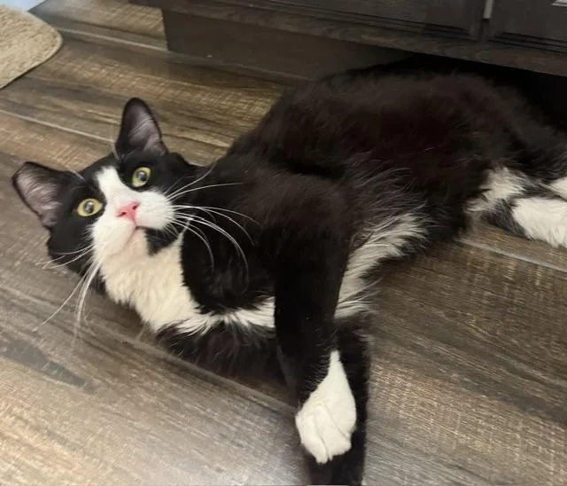 Sebastian