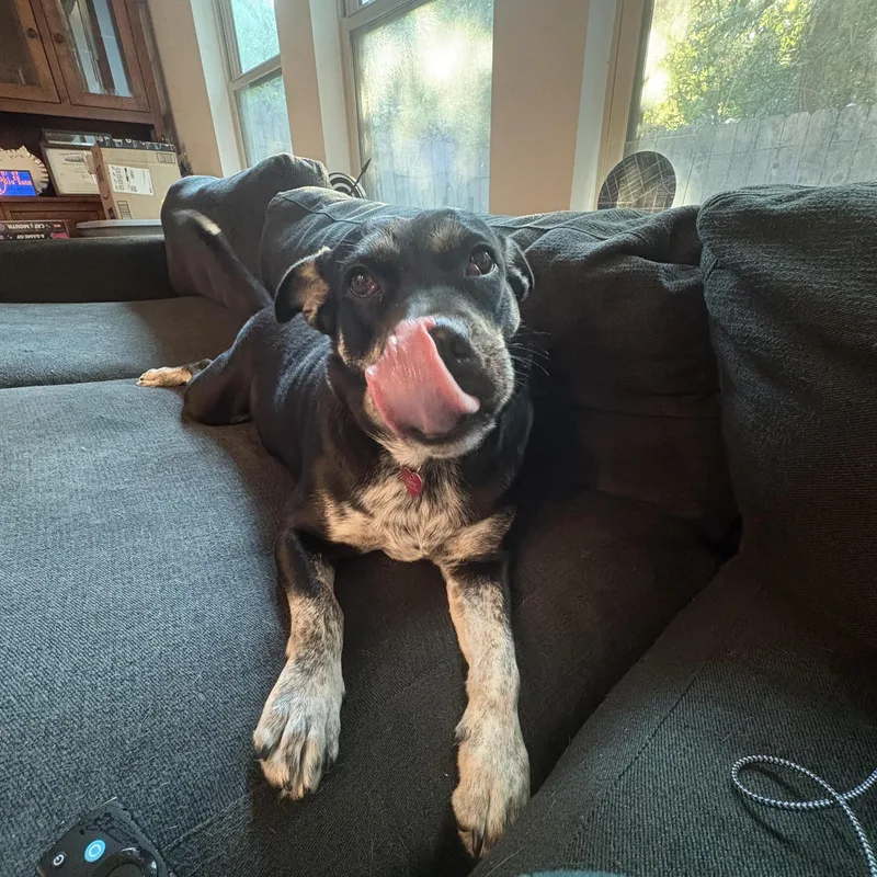 Glow : The Perfect thumbnail 2