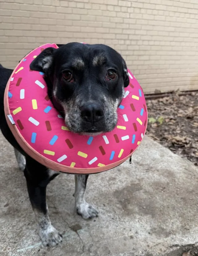 Glow : The Perfect thumbnail 4