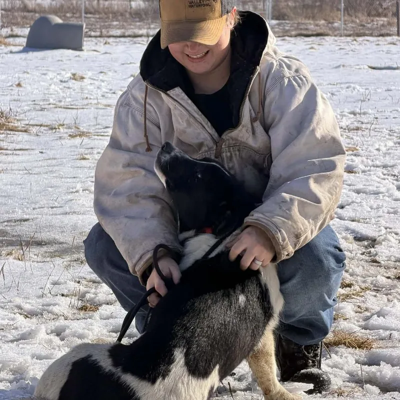 Barrel D thumbnail 2