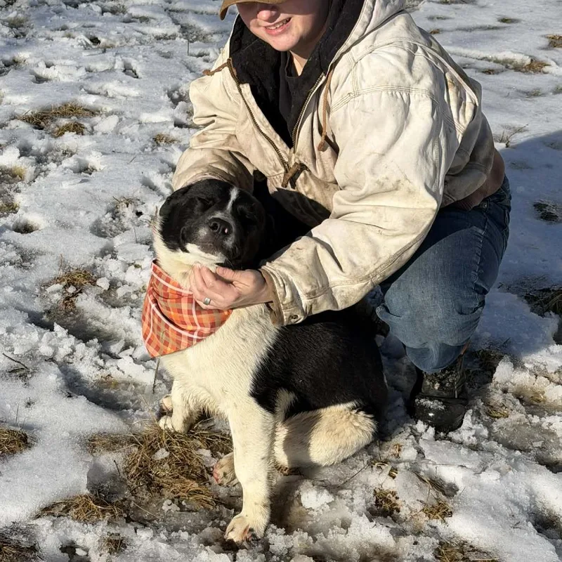 Barrel D thumbnail 3