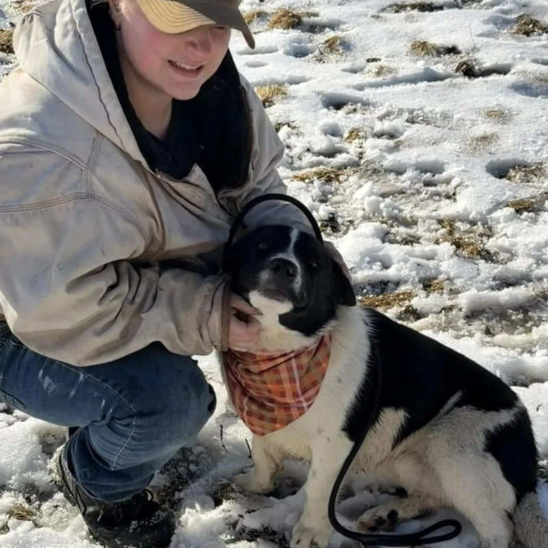 Barrel D thumbnail 4