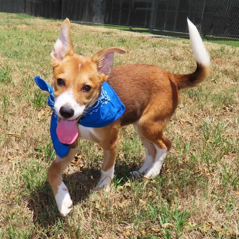 Ernie thumbnail 2