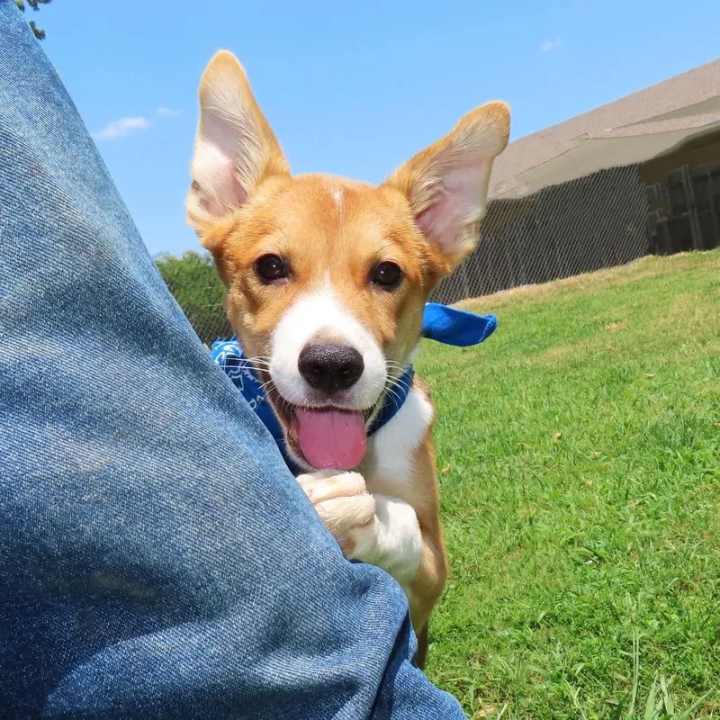 Ernie thumbnail 3
