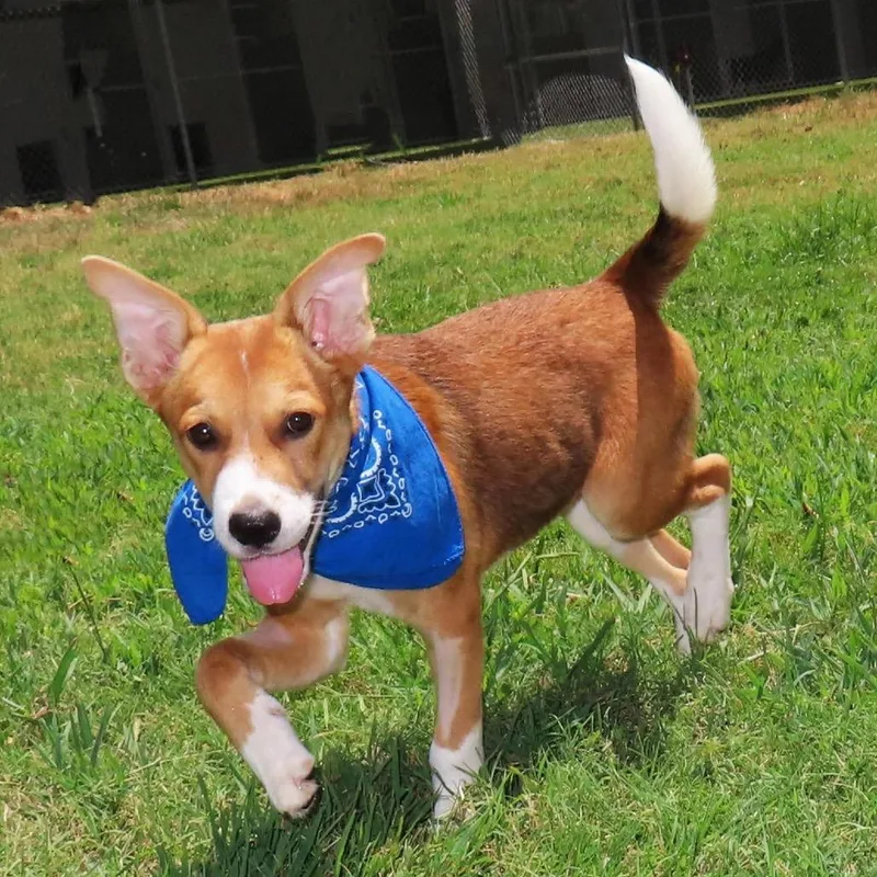 Ernie thumbnail 4