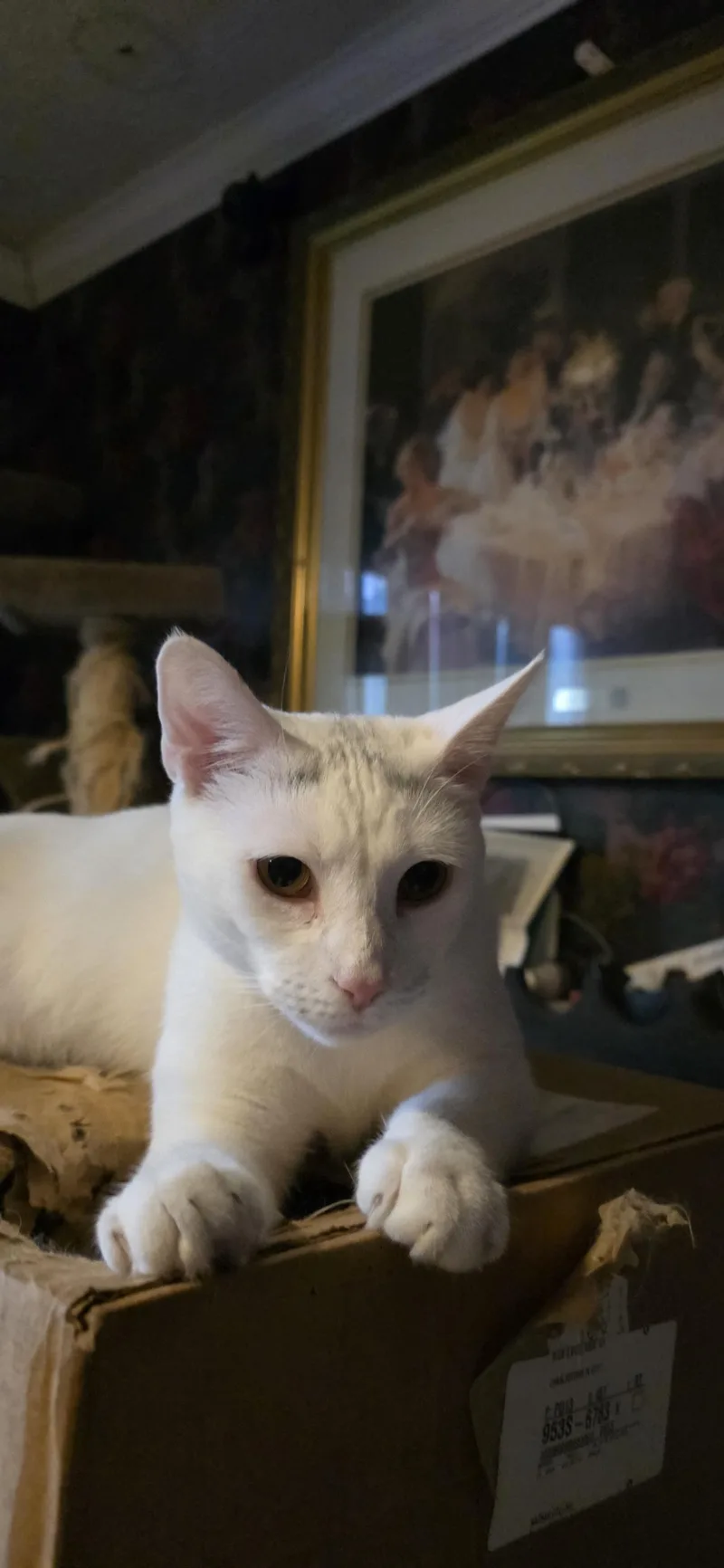 Penny