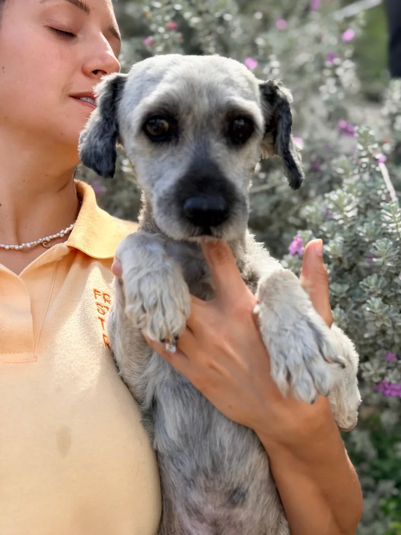 Walter thumbnail 4