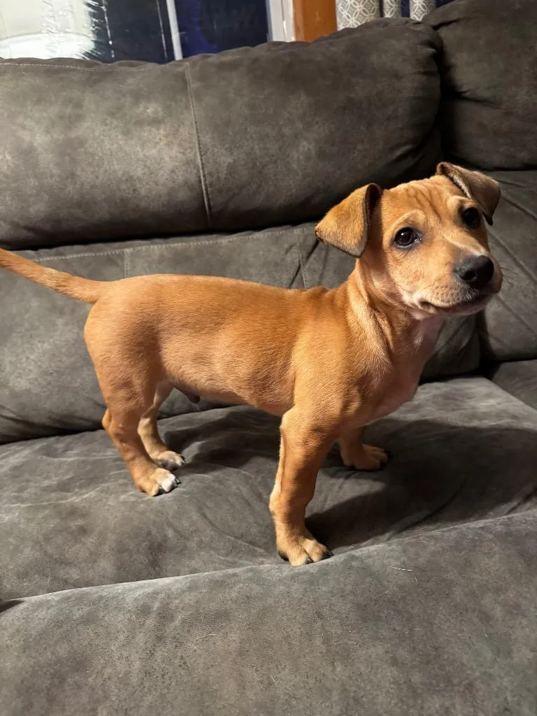 Marcello thumbnail 6