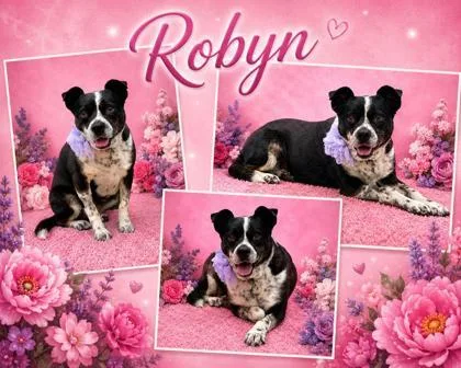 Robyn thumbnail 2