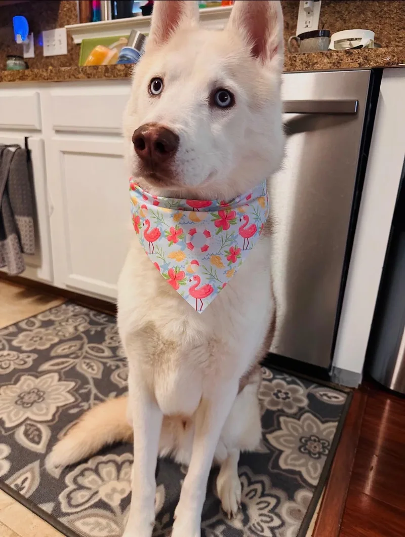 Ace Of Melted Hearts