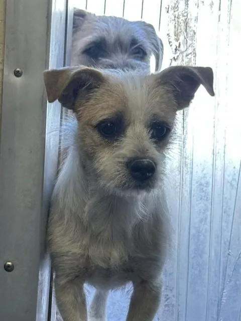 Juan