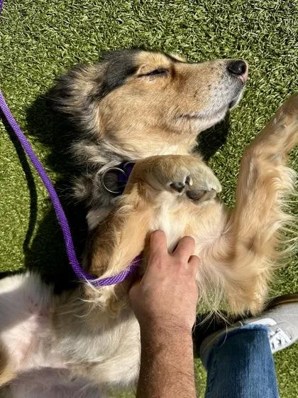 The Great Bambina thumbnail 2