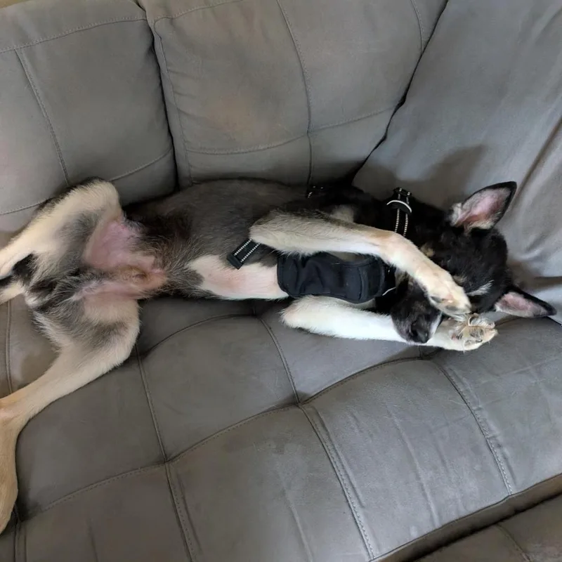 Crawford thumbnail 2