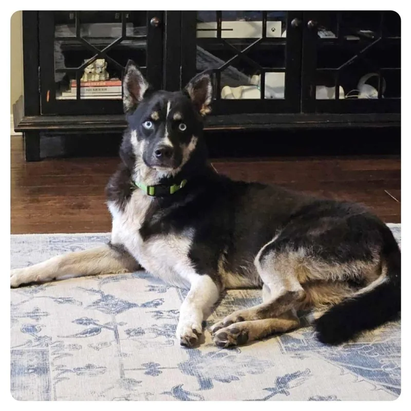 Crawford thumbnail 4