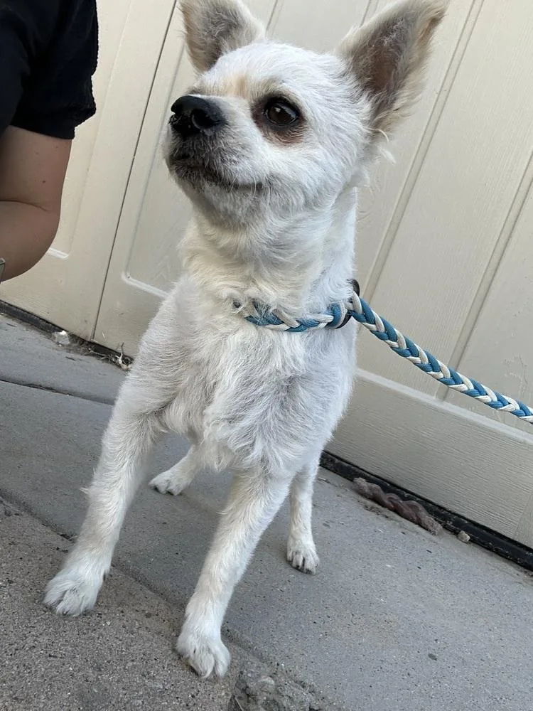 Side Carfreddy thumbnail 4