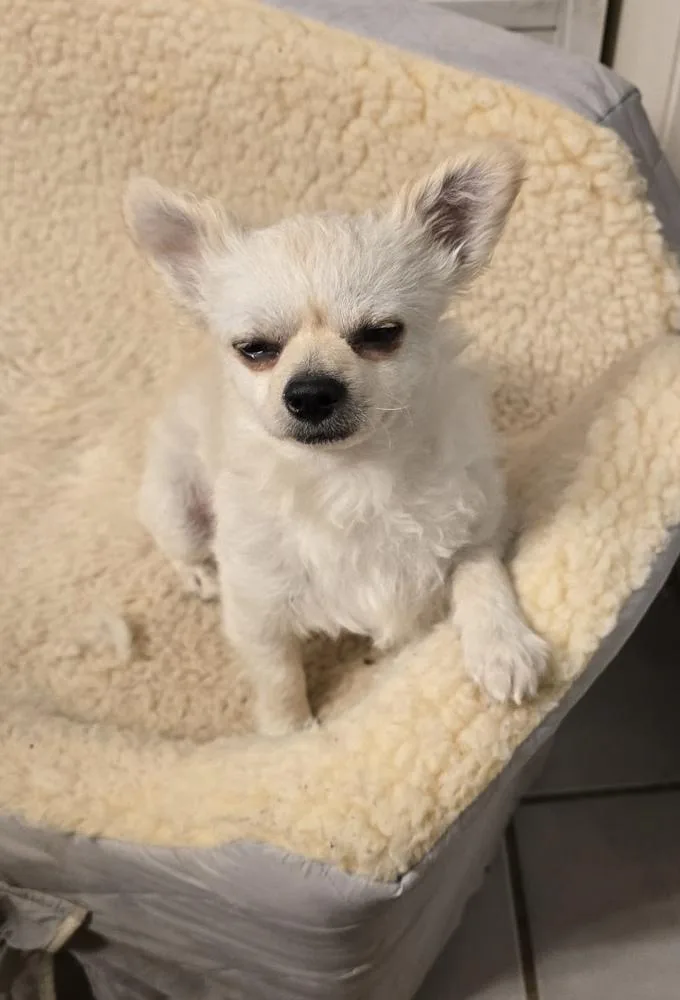 Side Carfreddy thumbnail 6