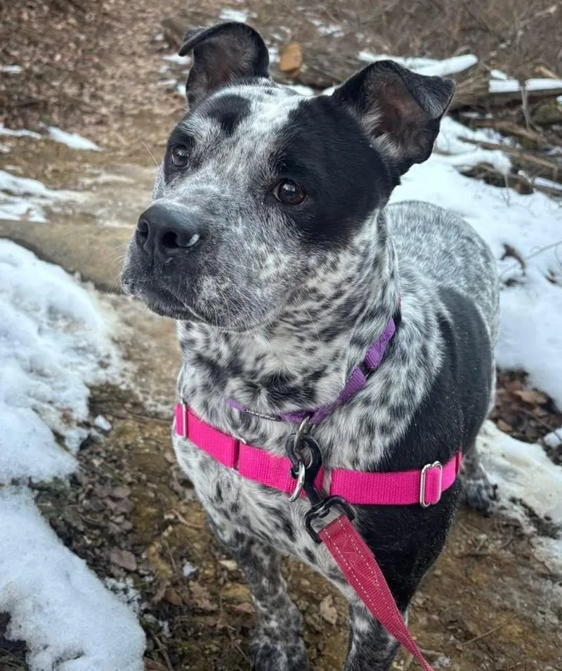 Scribbles thumbnail 2