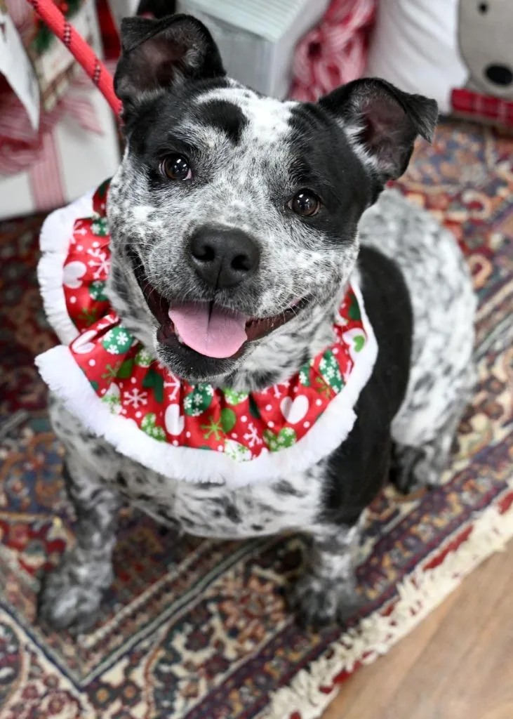 Scribbles thumbnail 3