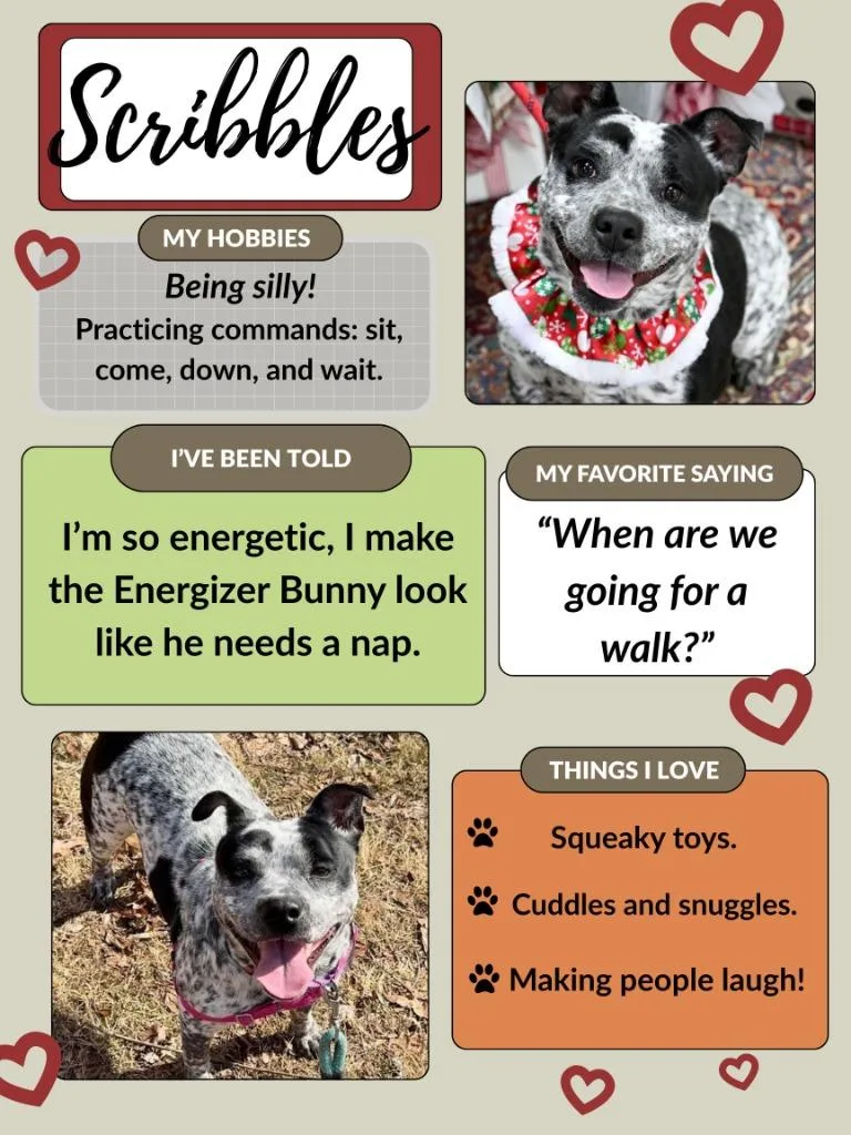 Scribbles thumbnail 4